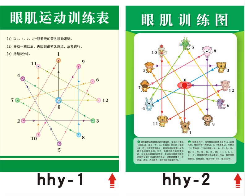 眼肌运动训练表眼球肌肉视力锻炼增视图眼操墙贴纸挂图 hhy-1-超大