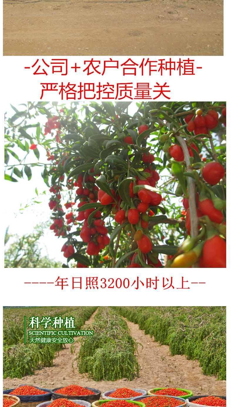 106068-新枸杞小袋装宁夏中宁枸杞子100g-250g-500g小包装 头茬枸杞250克(10克*25袋)-详情图