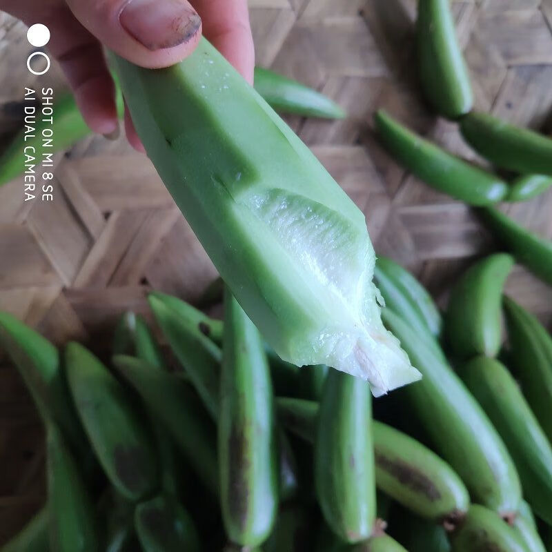 新鲜羊排果云南西双版纳特色酸果牛角果傣哈尼布朗野生酸果送辣子新鲜