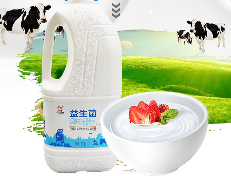 辉山酸奶大桶装12kg桶酸奶家庭实惠装益生菌风味发酵乳鲜奶发酵辉山特