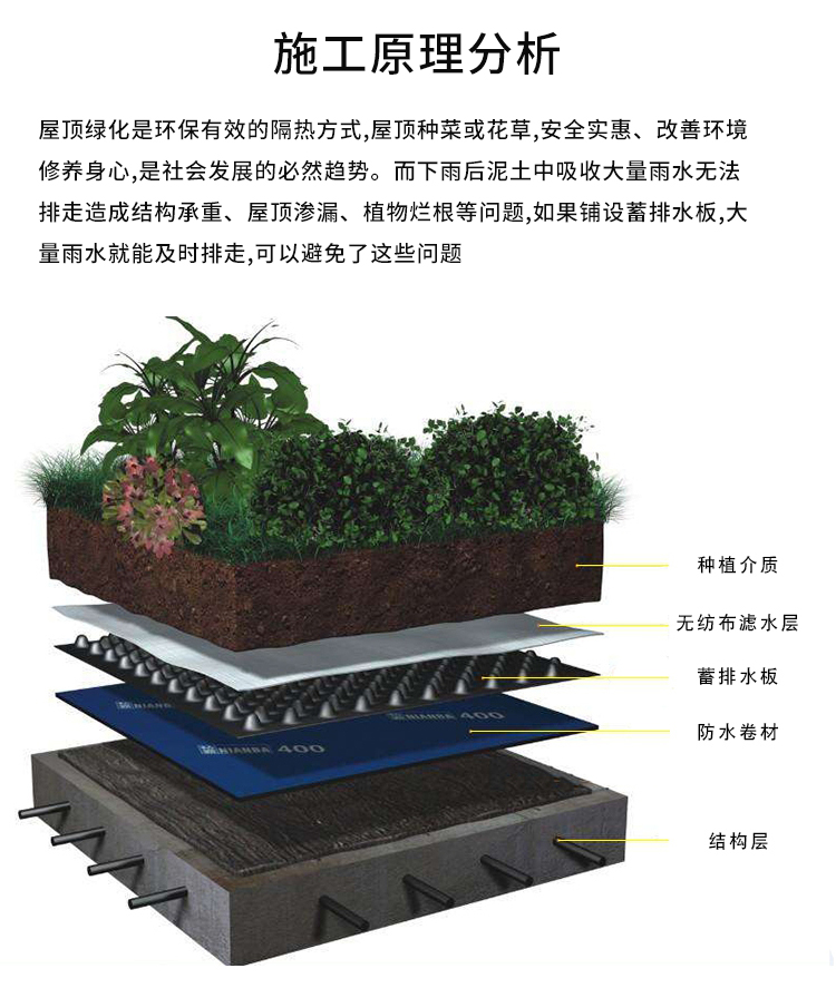 板楼顶花园凹凸型塑料阻根防水排水板滤水板提示语一平方需要拍4件