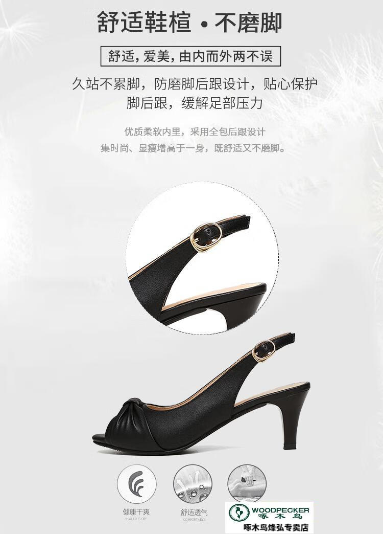 e1694a45846cc593.jpg