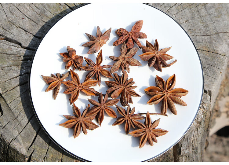 大茴香大回香茴香八角茴香大料调料非特级广西八角回香内廷上用500克