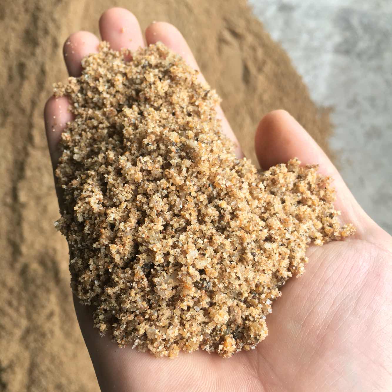 车小美 黄沙河沙水泥沙子沙土黑水泥白水泥砂浆用沙子多肉种花土 5斤