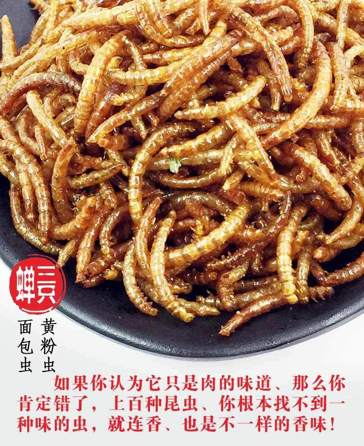 食用油炸昆虫酥脆面包虫即食黄粉虫美味下酒小吃美食麻辣金粉虫蛹