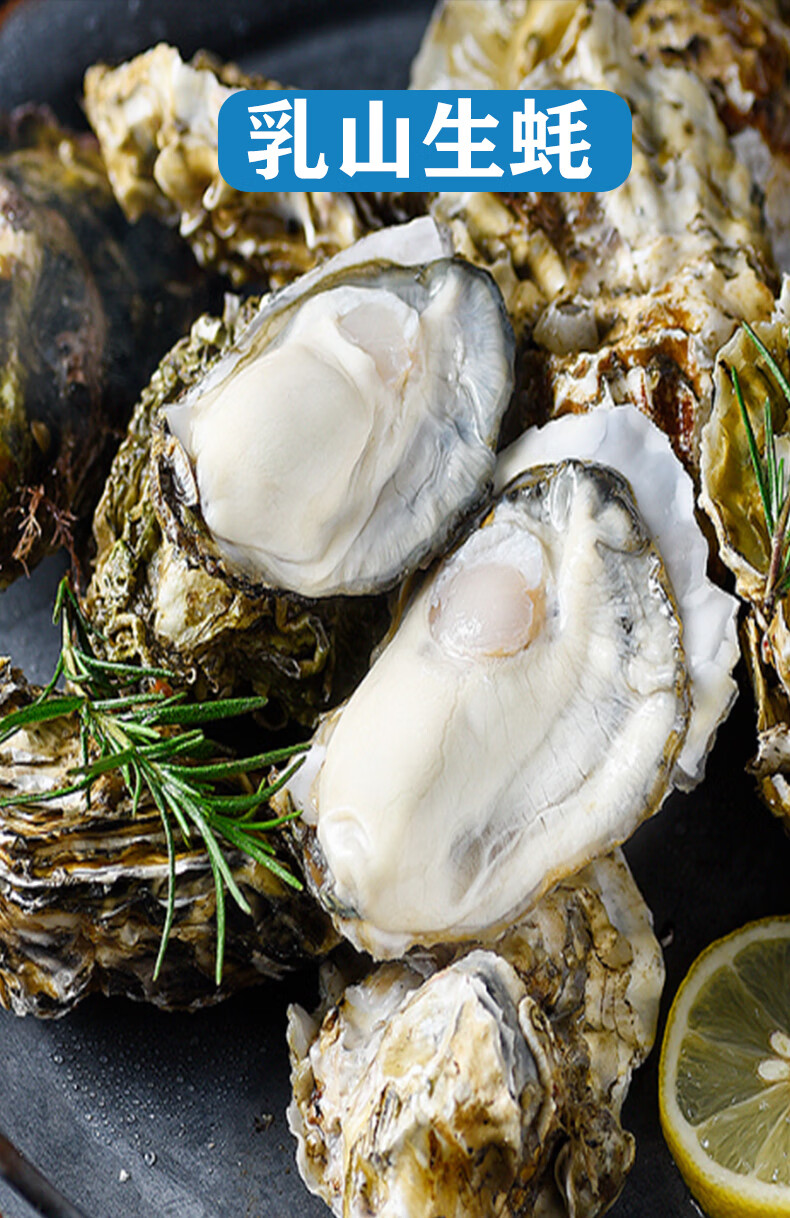 生蚝 乳山特大号生蚝牡蛎新鲜5/10斤箱带壳生吃海蛎子海鲜水产 套餐一