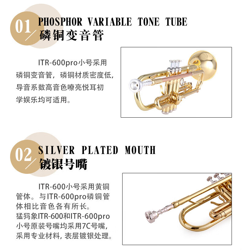 磷铜管小号乐器降b调小号黄铜漆金铜管乐器初学演奏 itr-600