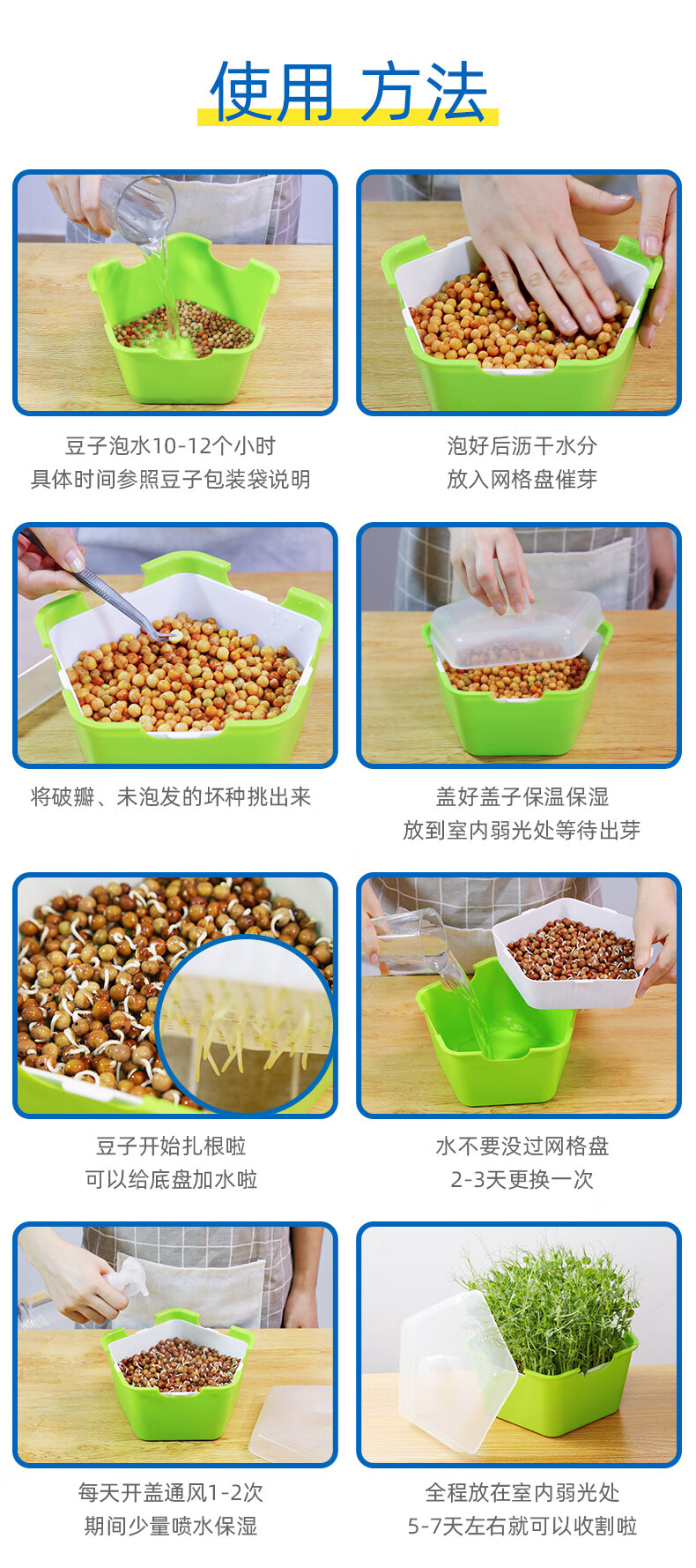 幼儿园植物小盆栽豆芽菜育苗盘豆芽发芽盆桶芽苗菜种植盘水培种菜