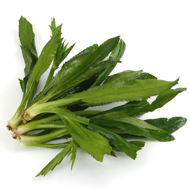 新鲜刺芫荽大香菜刺芹洋鹅芥假芫茜元西缅芜荽泰国越南香菜5斤无根