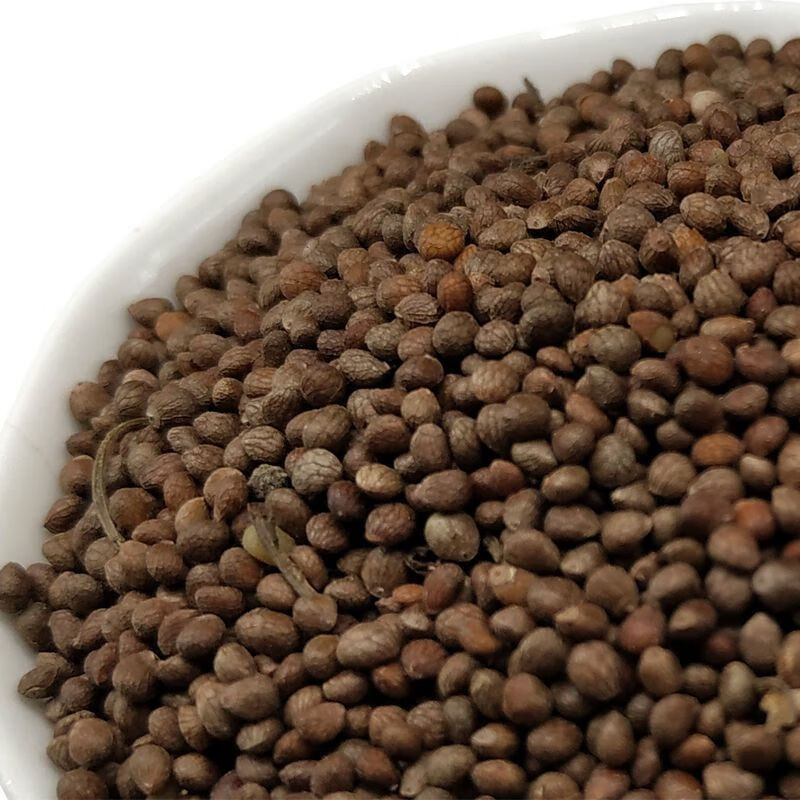 贵州酥麻子黑酥麻子引子酥麻紫苏子新货油性酥麻引子生苏子苏麻子