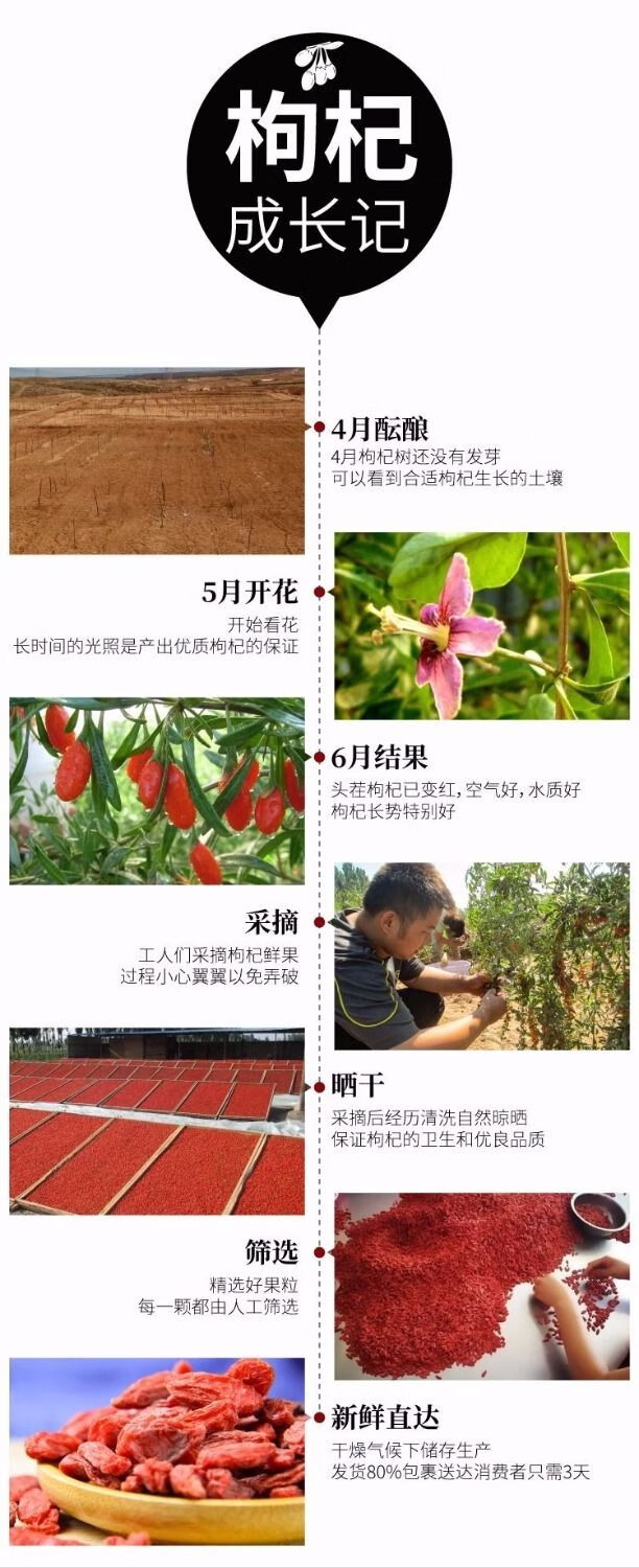 106068-新枸杞小袋装宁夏中宁枸杞子100g-250g-500g小包装 头茬枸杞250克(10克*25袋)-详情图
