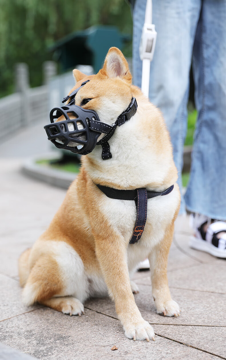 狗狗嘴套防咬叫乱吃口罩小型大型犬宠物止吠器泰迪用品狗套笼狗罩