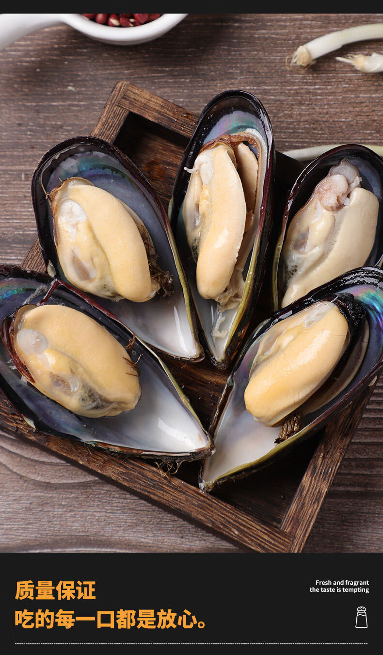 顺丰直达新鲜海虹舟山贻贝青口贝当季鲜活淡菜海鲜水产贝类斓维品1斤