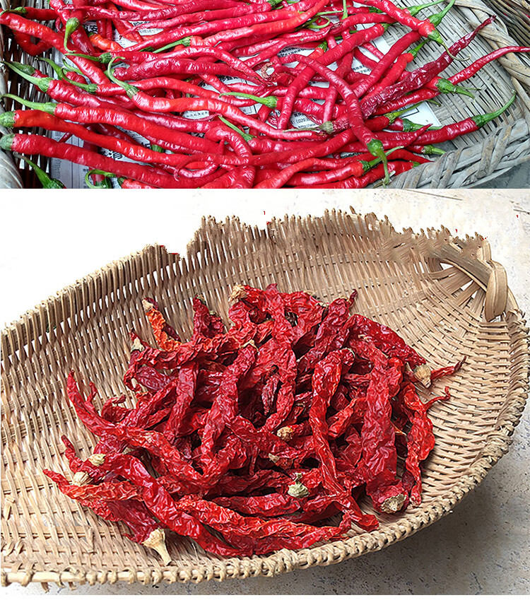 陕西秦椒500g陕西干辣椒干农家线辣椒2020年线椒宝鸡红辣椒角食用秦椒