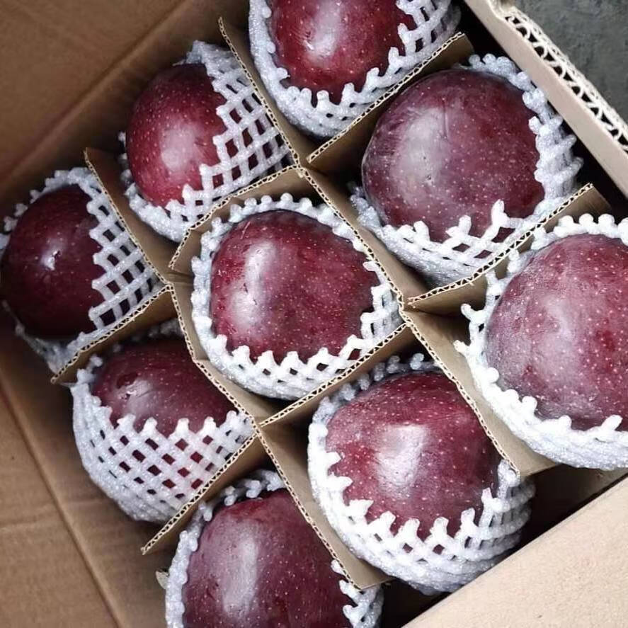 京自营东 新鲜黑卡水果 紫色浪漫苹果 黑钻黑砖苹果 顺丰 黑卡苹果10