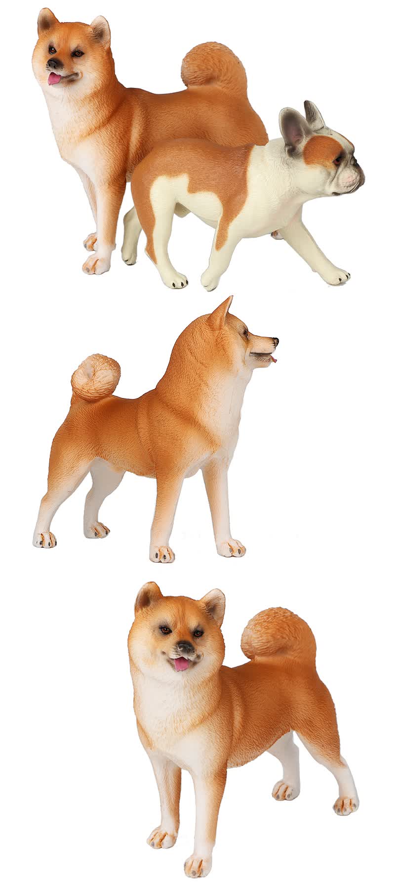 柴犬模型 仿真动物模型金毛犬秋田犬柴犬斗牛犬宠物狗塑胶实心玩具