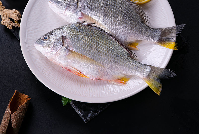 銘語然 深海黃翅魚 新鮮黃刺魚 鯛魚海鮮水產海魚鮮活冷凍 2斤(約3-5