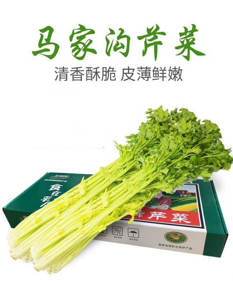 马家沟芹菜空心芹菜山东青岛平度新鲜大叶黄玻璃脆蔬菜 3斤带根马家沟