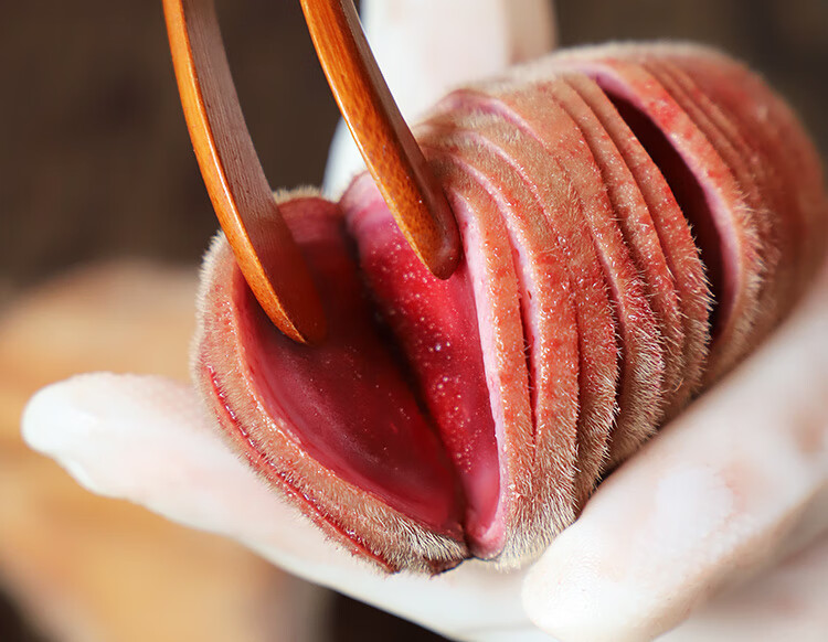 康中尊鲜鹿茸整枝新鲜带血吉林梅花鹿茸鲜鹿茸切片泡酒药材人工养殖
