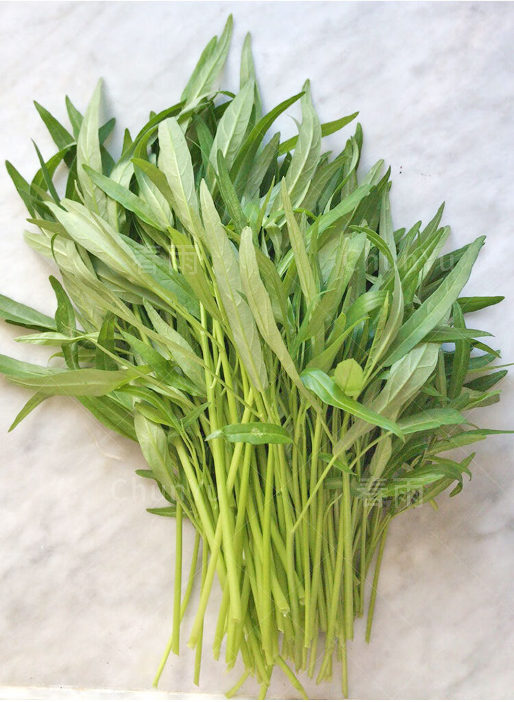 空心菜种籽通心菜小叶柳叶博白菜苗菜籽种四季带根夏季蔬菜种子孑竹叶