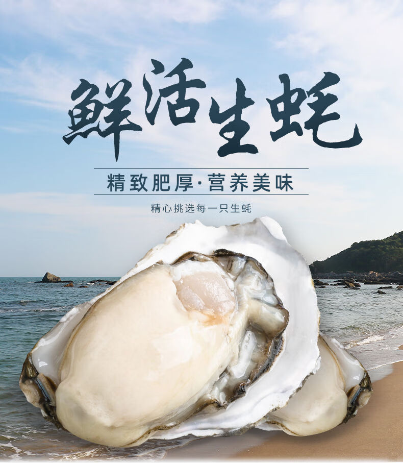 顺丰速运乳山生蚝新鲜特大牡蛎鲜活贝类海鲜海蛎子肥整箱6斤惟纳德6斤
