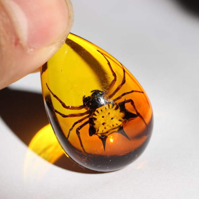 鲤梨 天然蝎子人工琥珀项链 真昆虫标本吊坠创意装饰品生日节日礼物