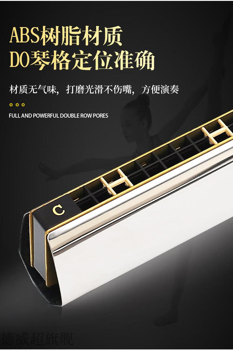 【甄选好物】回声口琴 国光24孔c调回声口琴初学者儿童演奏小学生成人