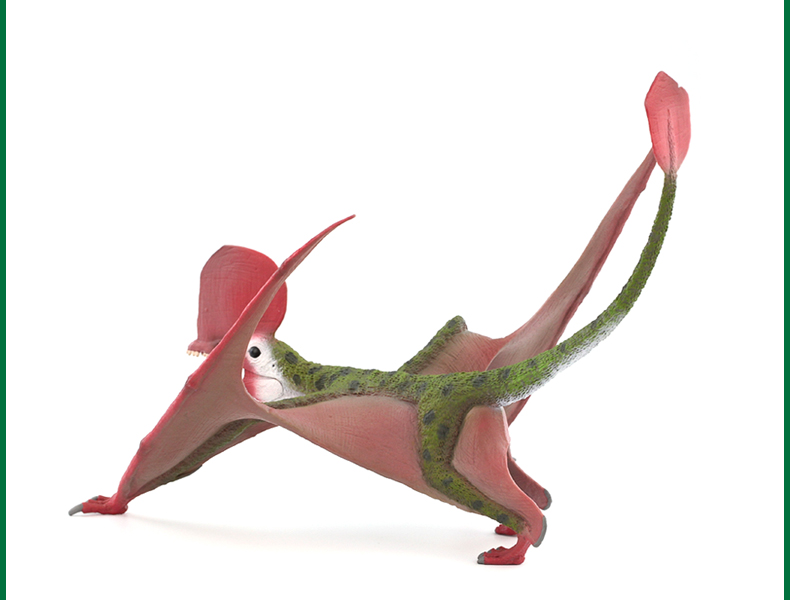 英国collecta我你他史前侏罗纪恐龙模型玩具88886空枝翼龙2020款12空