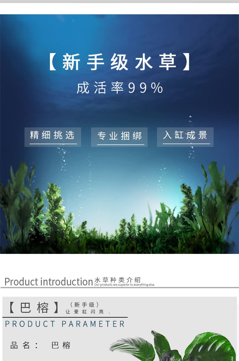 水族箱鱼缸造景套餐水草植物新手活体真水草植物懒人水草沉木水榕单头沉木桃红柳绿 图片价格品牌报价 京东