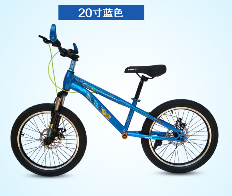 两轮滑步车18寸大人平衡滑行车20寸无脚踏自行车成人滑步车教练车陪练