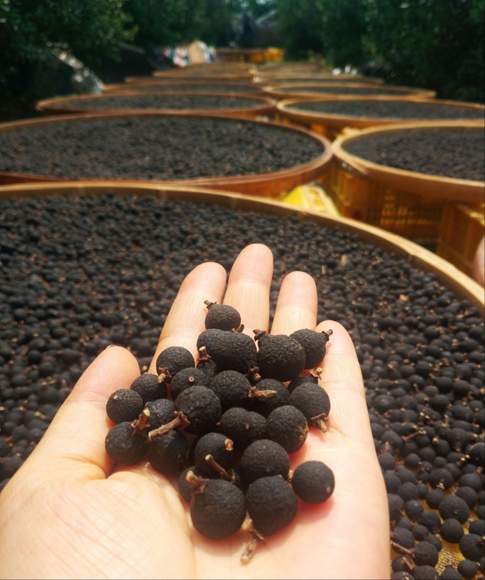 小柑胎陈皮柑胎果仔泡茶广东特产带蒂生晒陈皮柑胎果仔泡茶带蒂小小号