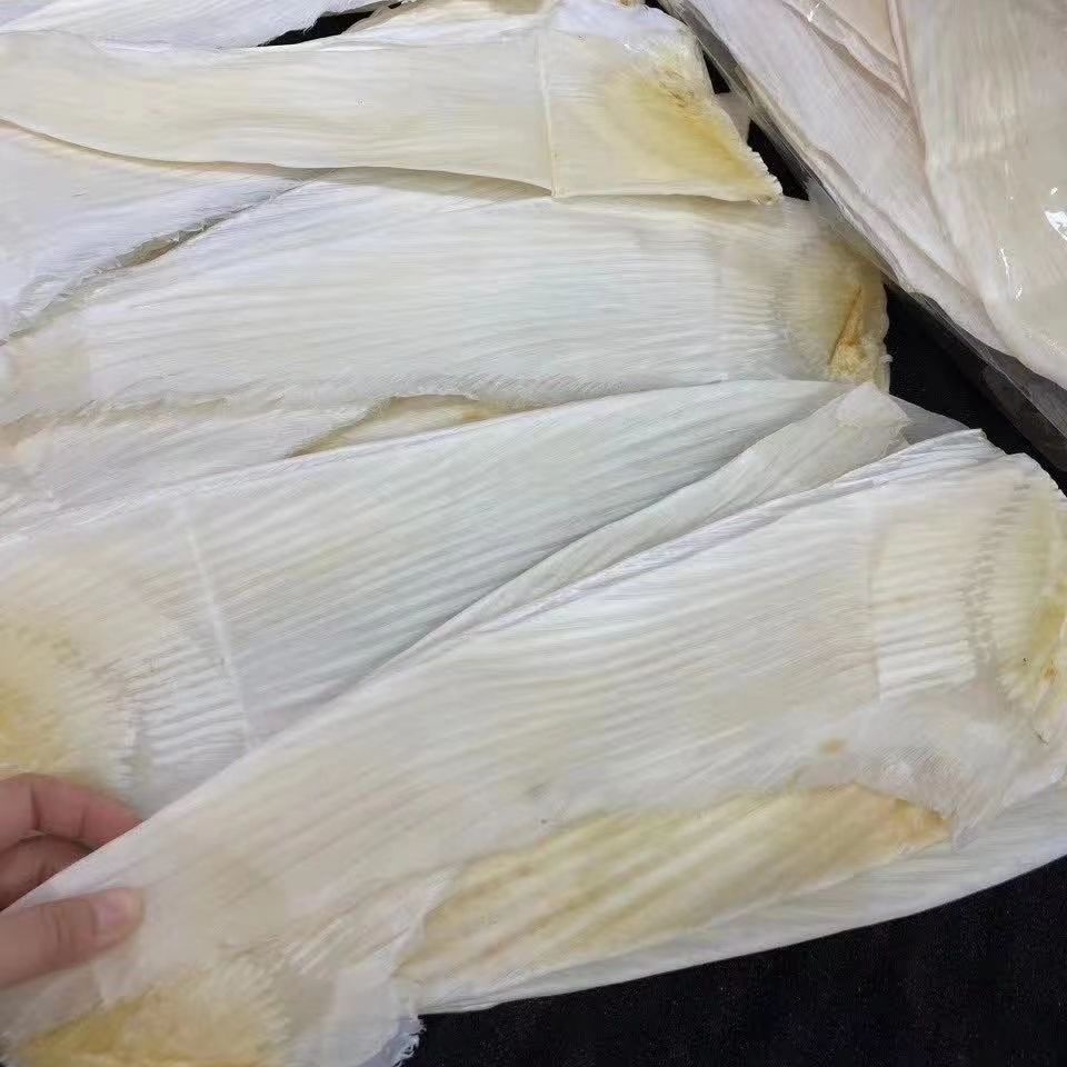 干货 牙拣翅10寸-22寸规格干货海味滋补超多翅针高端 14-16寸500克