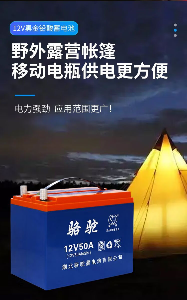 12v铅酸电瓶20安60a电动车户外摆摊12伏大容量骆驼蓄电池v 12v24安单