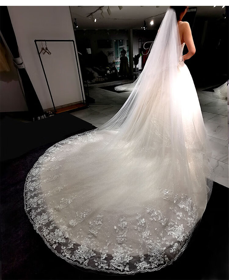 沃铂 闪亮新娘头纱主婚纱白色长款香槟色拖尾头纱头饰超仙森系结婚