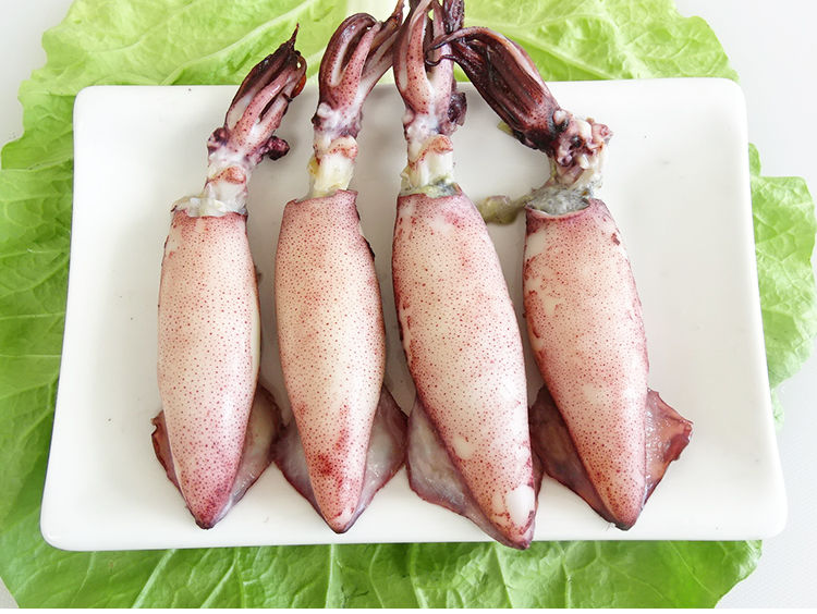 新鲜笔管鱼海兔鲜活海兔灯光一口生鲜冷冻 1斤装【图片 价格 品牌