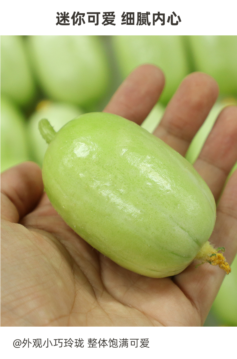金童玉女黄瓜新鲜拇指黄瓜白玉青瓜5斤手指迷你小黄瓜沙拉菜水果礼盒