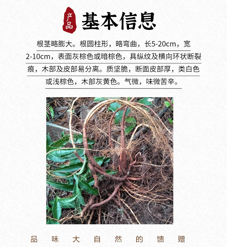 八爪龙草药作用图片