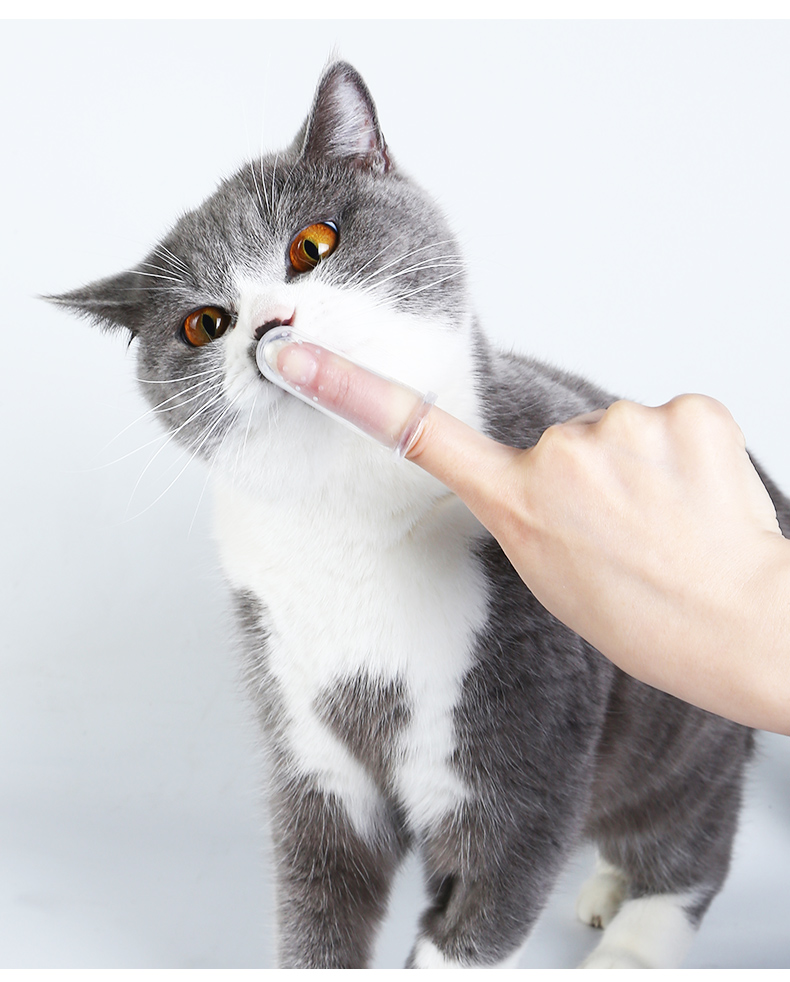 猫猫狗狗指套猫牙刷指套狗狗刷牙神器猫咪洁牙手指套小狗泰迪宠物牙齿