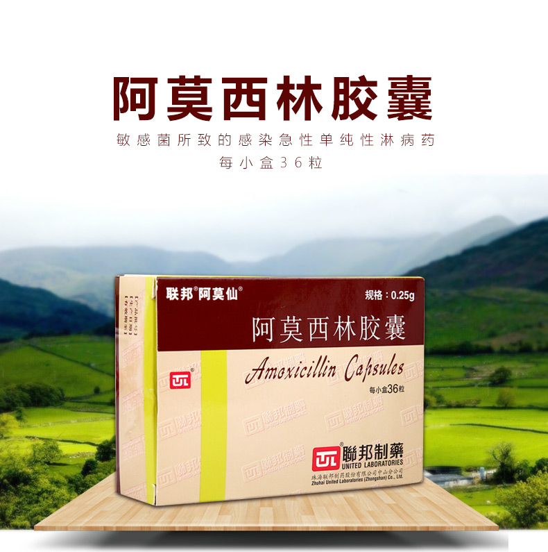 联邦 阿莫仙 阿莫西林胶囊0.
