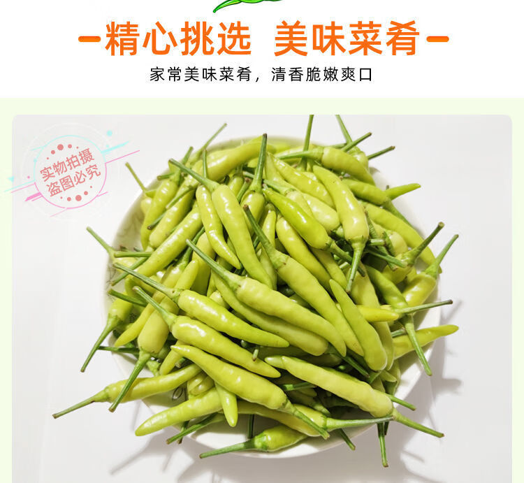 现摘白米椒新鲜辣椒特辣朝天椒泡椒鸡爪泡椒小个白辣椒泡酸野山椒净重