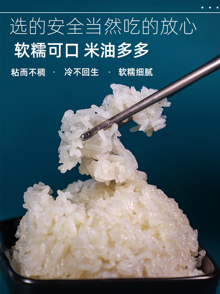 云南遮放贡米2021新米遮放贡米10斤云南特产德宏香米毫贡25kg胚芽米