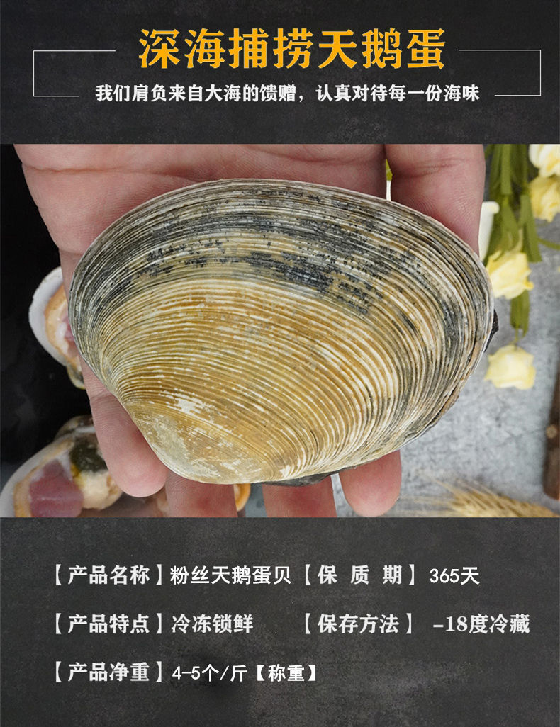 天鹅蛋贝50个粉丝天鹅蛋去内脏去沙大蛤蜊贝类新鲜烧烤冻品去壳去内脏