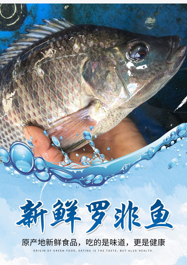 新鮮羅非魚現殺鮮魚肉農家羅飛魚活體現殺刺淡水魚素