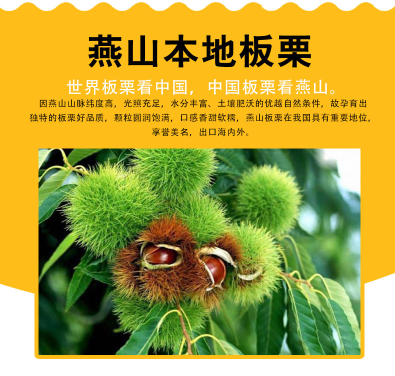 燕山明珠甘栗仁即食板栗仁休闲小零食坚果秦皇岛风味88克x10袋原味