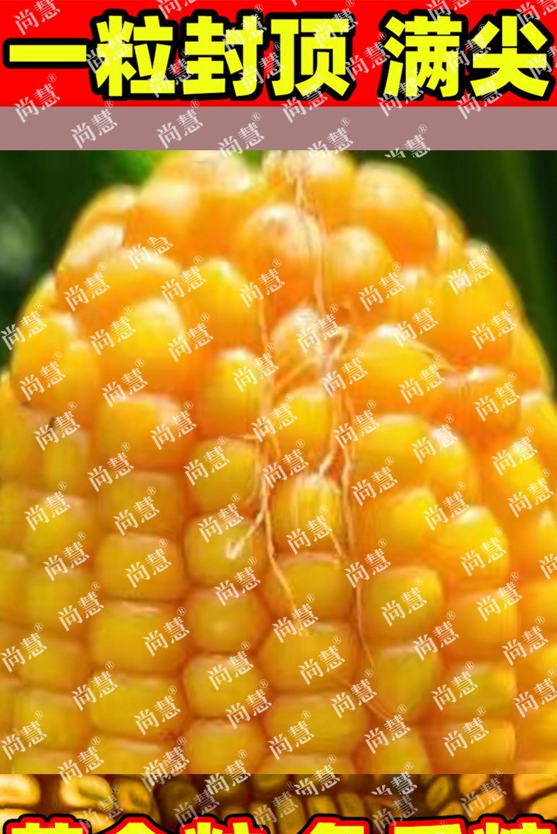 c3a44bf38d0fdac4.jpg