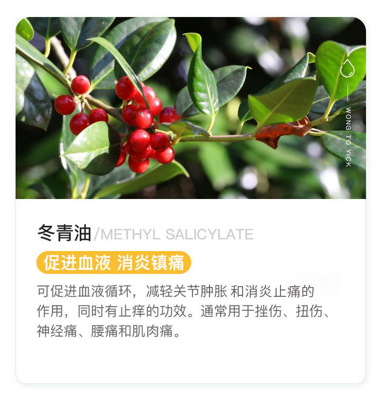 37811-万物之源 舒筋扭伤腰酸背痛颈椎腰椎劳损祛风散瘀血跌打油 活洛油2盒装-详情图
