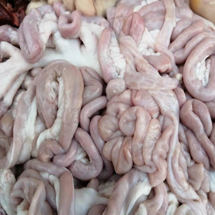 东北哈尔滨猪下水生苦肠鸡冠油护心肉肥肠大肠头猪肚肚芯沙肝腰子3斤