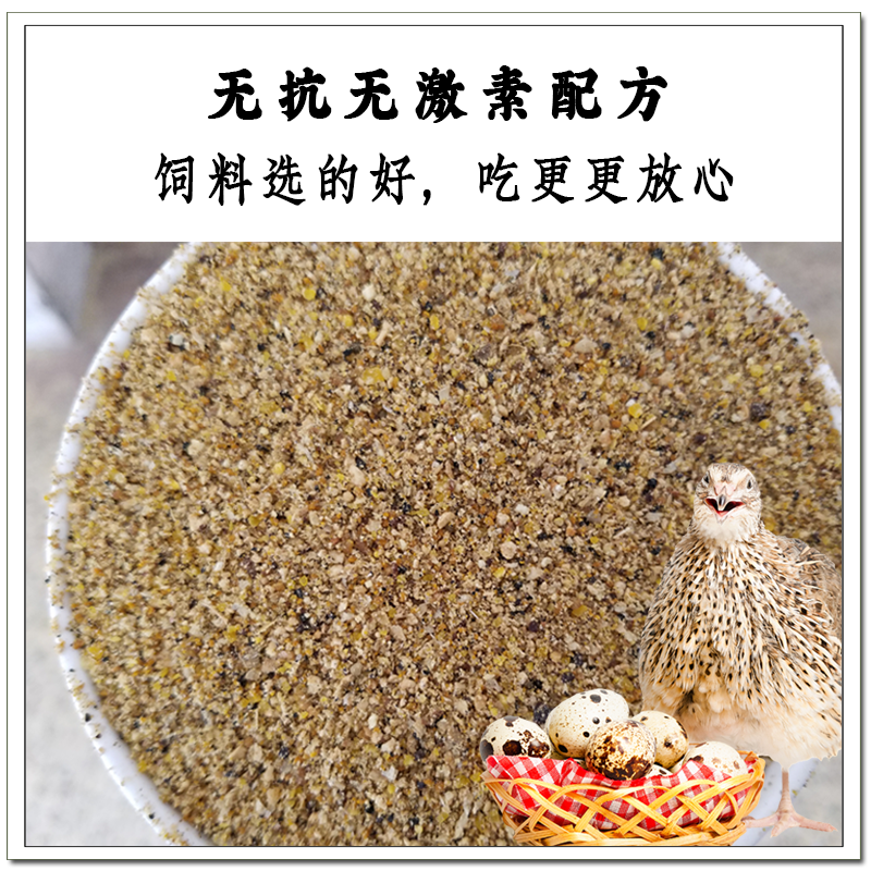 食鹌鹑食料鹌鹑粮小鸡饲料小鸡蛋鸡下蛋采缇 0-2月龄 小鹌鹑饲料22斤