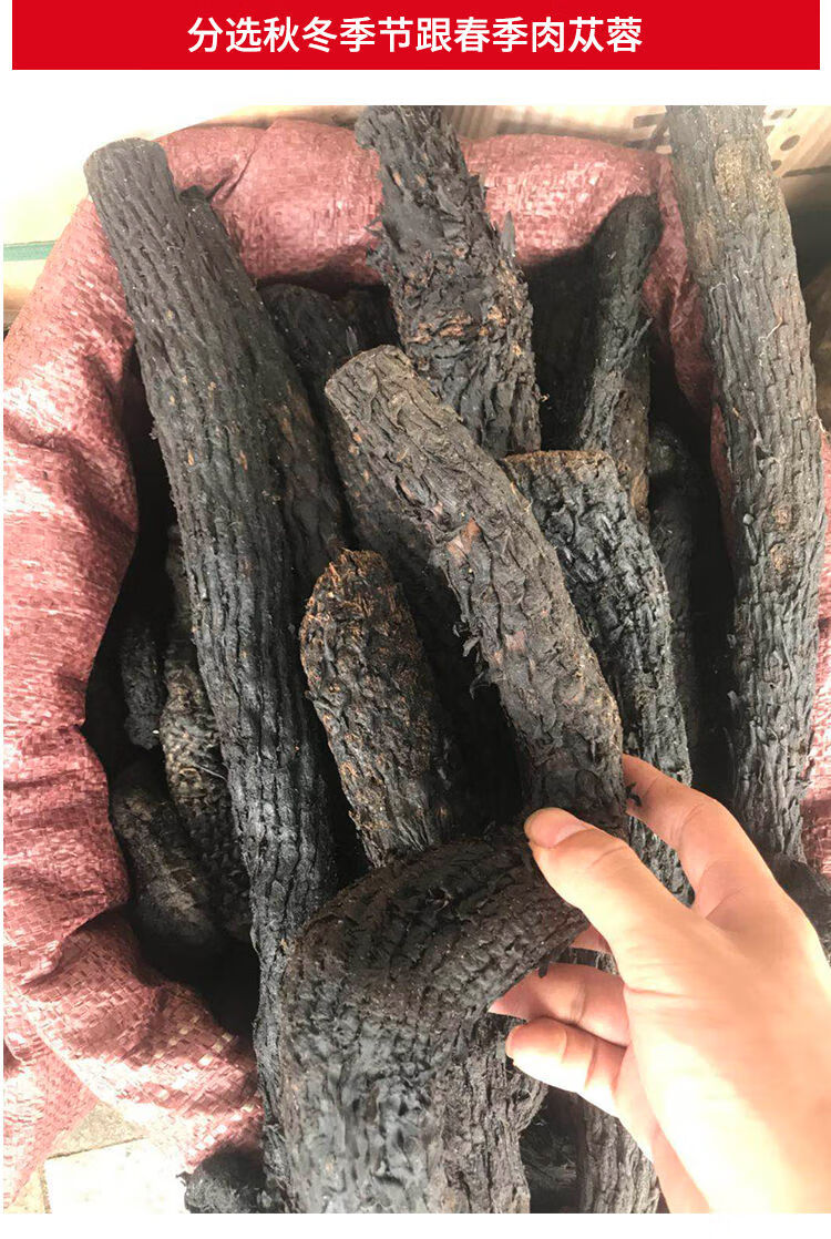 泡酒料野生滋补品内蒙古正品油苁蓉软大芸非锁阳野生中条整根500克