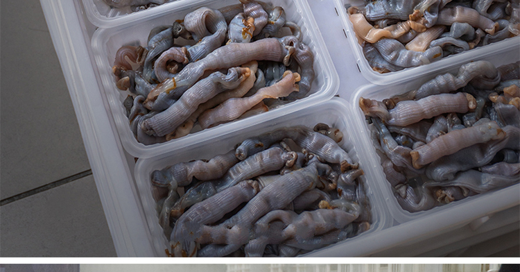 沙虫海肠 东山岛海鲜 新鲜 当天现挖沙虫 鲜活海肠子 产地直供 200g